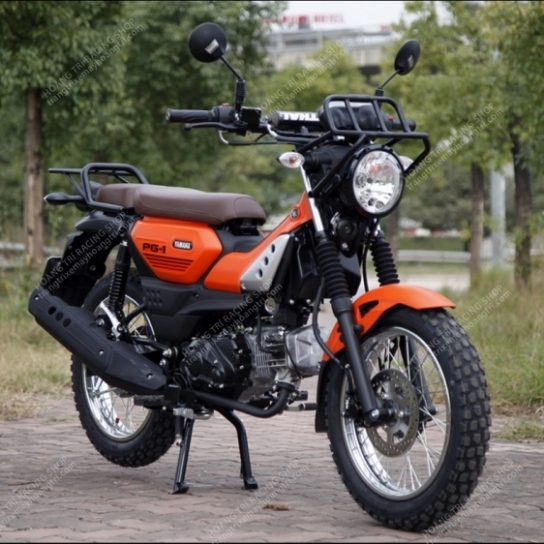 Cân cảnh chi tiết Yamaha PG-1